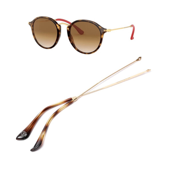 Branches pour Ray-Ban RB2447NM