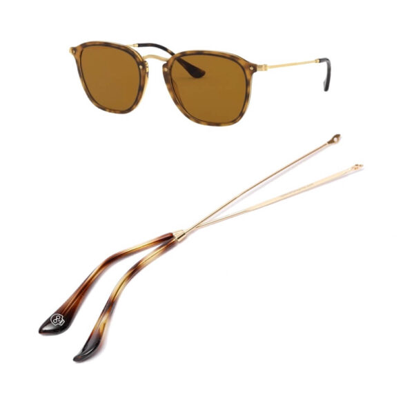 Branches pour Ray-Ban RB2448N