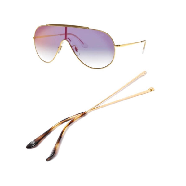 Branches pour Ray-Ban RB3597 Wings