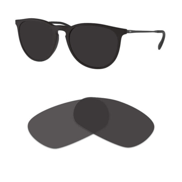 Verres pour Ray Ban RB4171 Erika