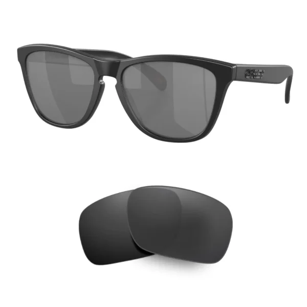 Verres pour Oakley 9013 FROGSKINS