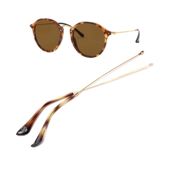 Replacement Arms for Ray-Ban 2447
